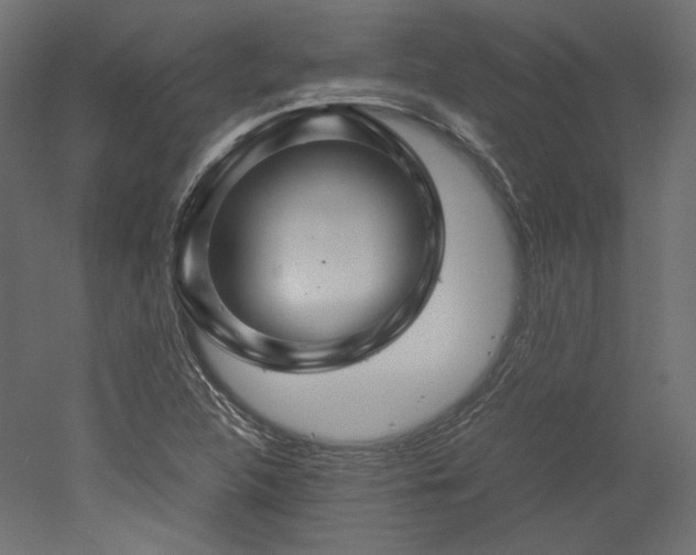 X0000051901312200507011457