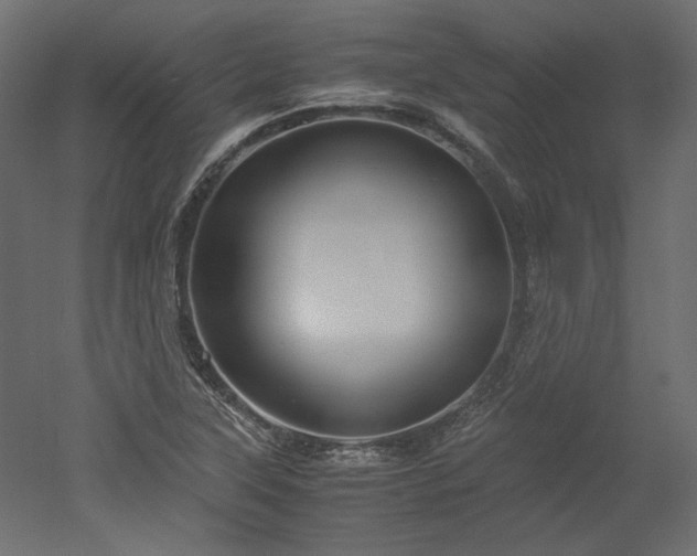 X0000051901315200507011457