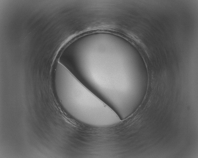 X0000051901316200507011457