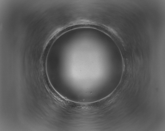 X0000051901318200507011457