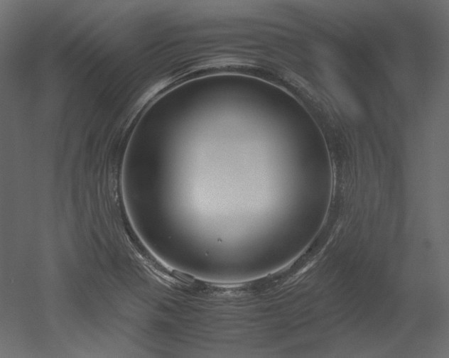 X0000051901321200507011457