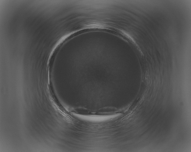 X0000051901323200507011457