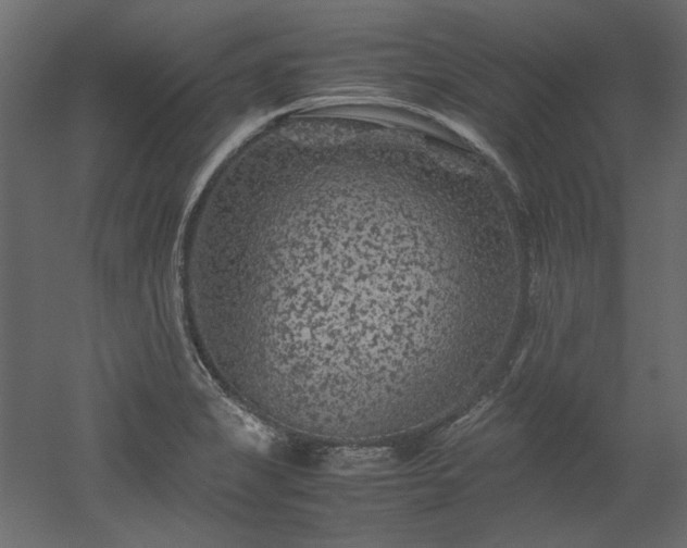 X0000051901325200507011457