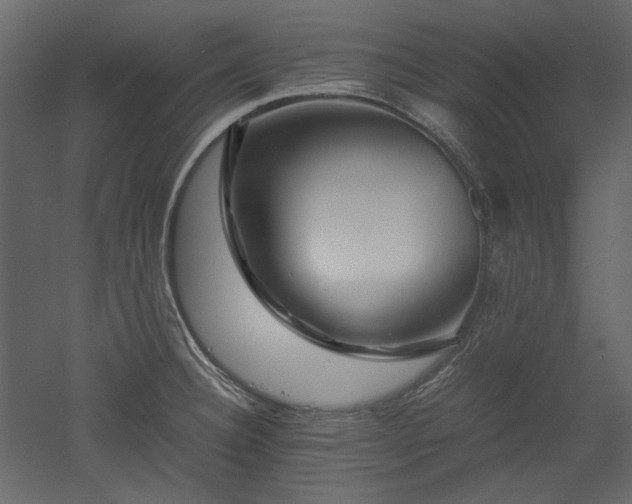 X0000051901332200507011457