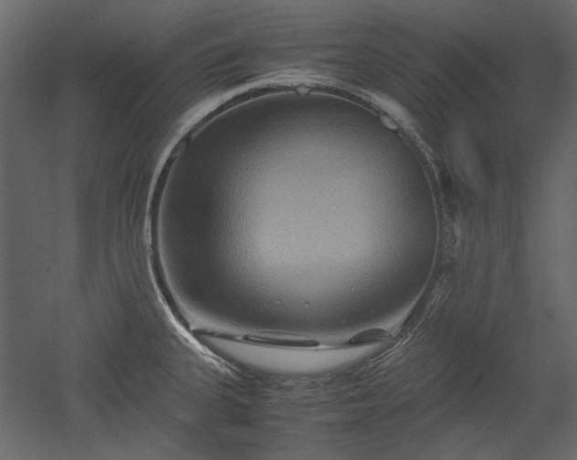 X0000051901335200507011457