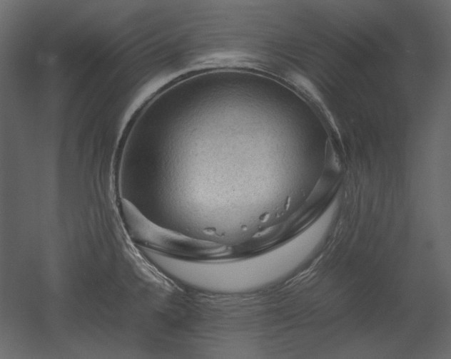 X0000051901336200507011457