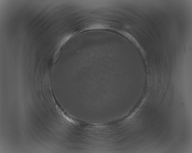 X0000051901337200507011457