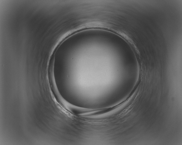 X0000051901342200507011457