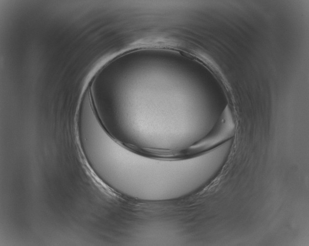 X0000051901344200507011457