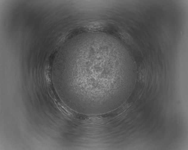 X0000051901346200507011456