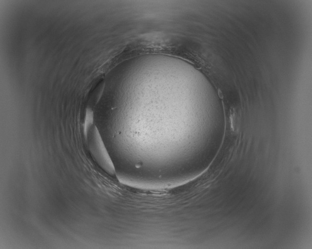 X0000051901347200507011456