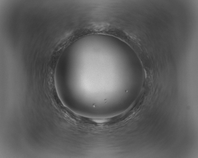 X0000051901349200507011456