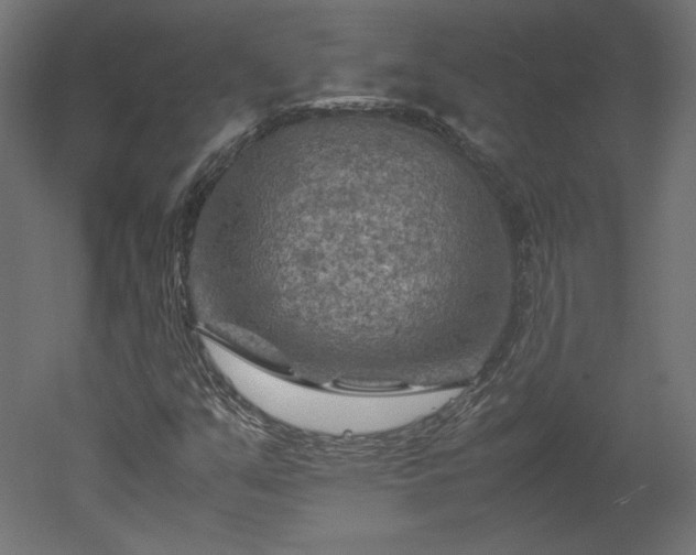 X0000051901351200507011456
