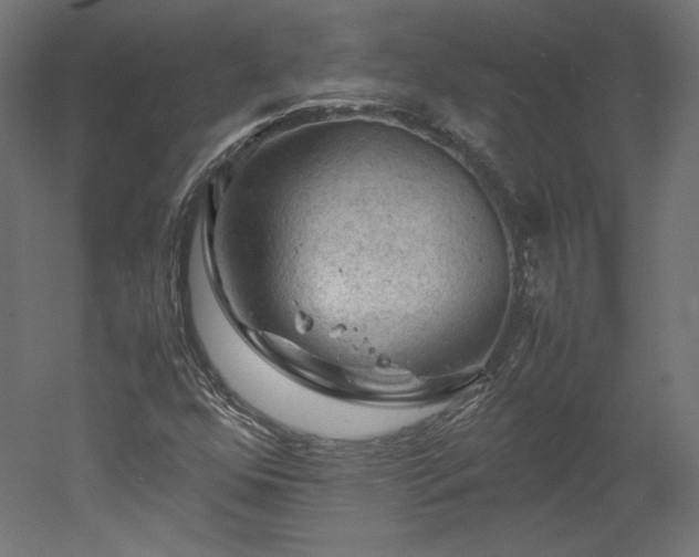 X0000051901352200507011456