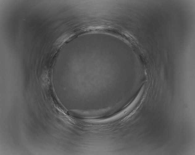 X0000051901353200507011456
