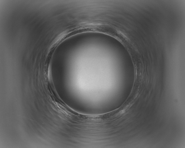 X0000051901354200507011456