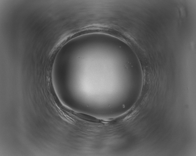 X0000051901355200507011456