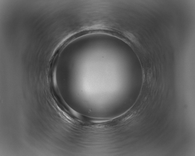 X0000051901356200507011456