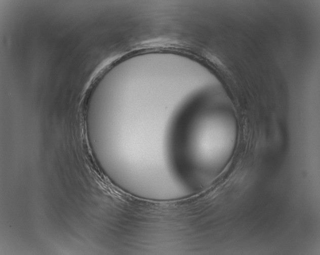 X0000051901358200507011456