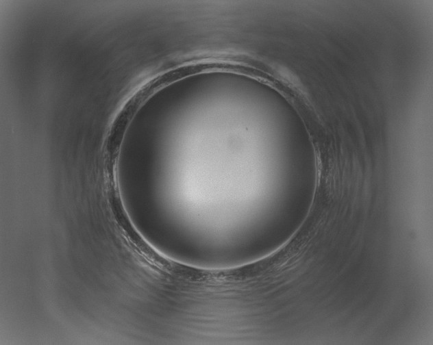 X0000051901360200507011456