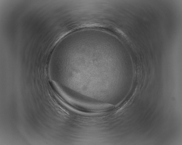 X0000051901361200507011456