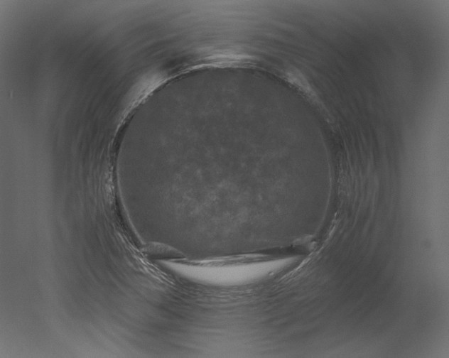 X0000051901362200507011456