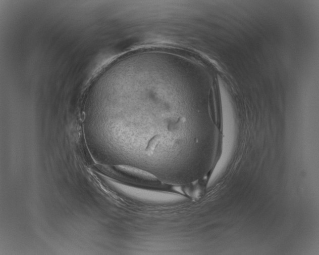 X0000051901363200507011456