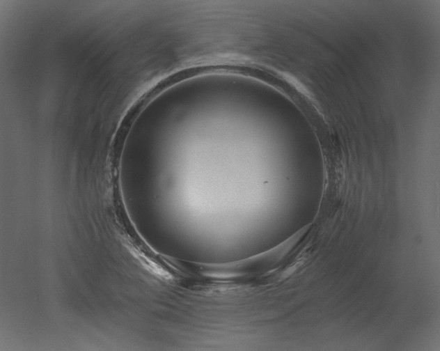 X0000051901364200507011456
