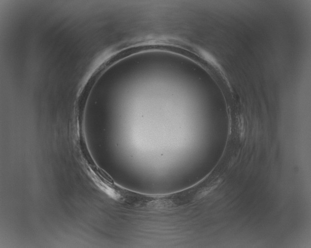 X0000051901368200507011456