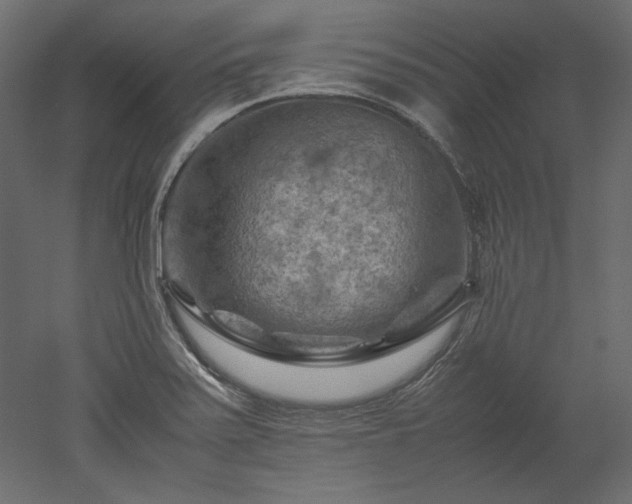 X0000051901371200507011456