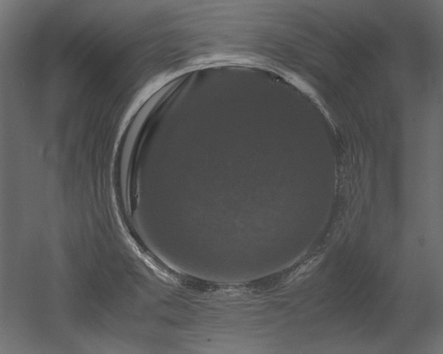 X0000051901373200507011456