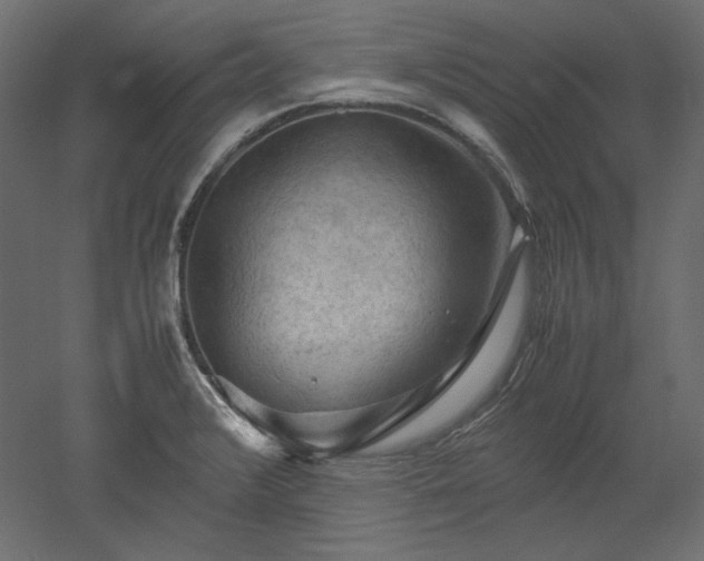 X0000051901376200507011456