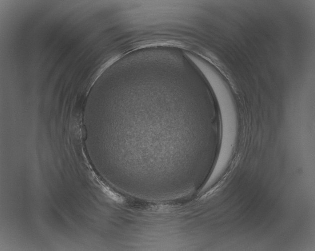 X0000051901377200507011456
