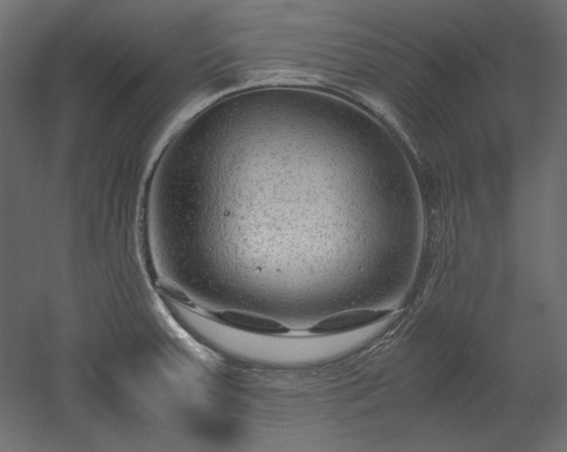 X0000051901379200507011456