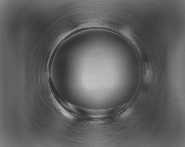 X0000051901380200507011456