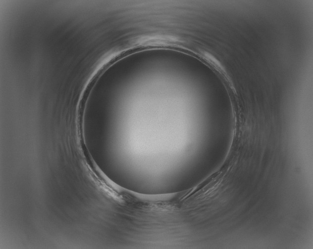 X0000051901384200507011456