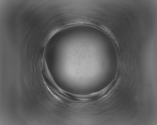 X0000051901385200507011456