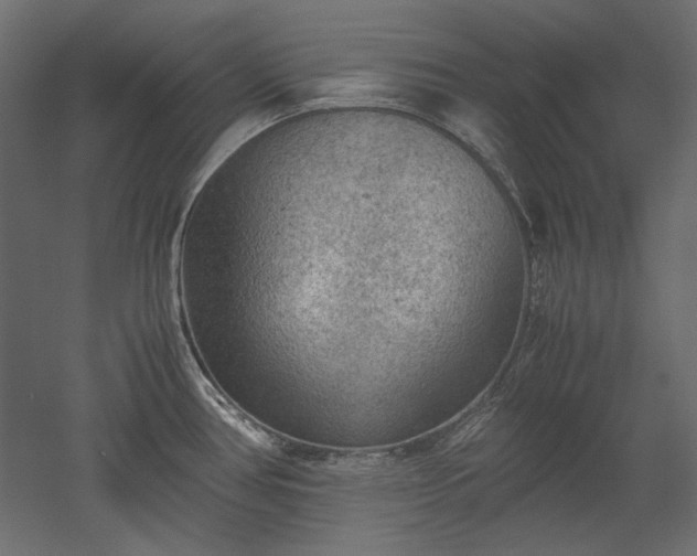 X0000051901386200507011456