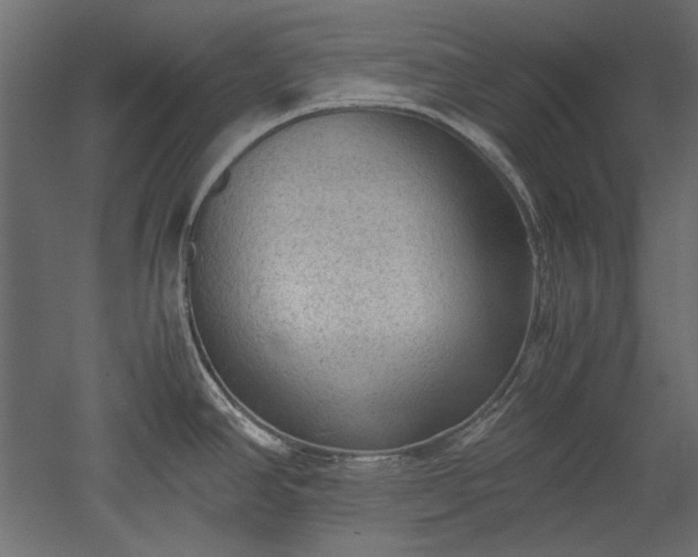 X0000051901390200507011456