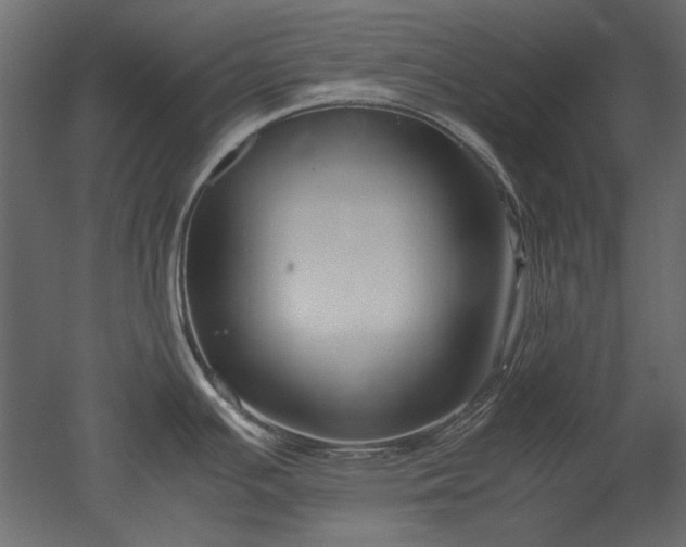 X0000051901391200507011456