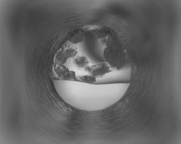X0000051901393200507011455