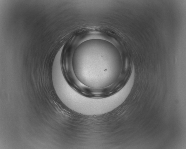 X0000051901394200507011455