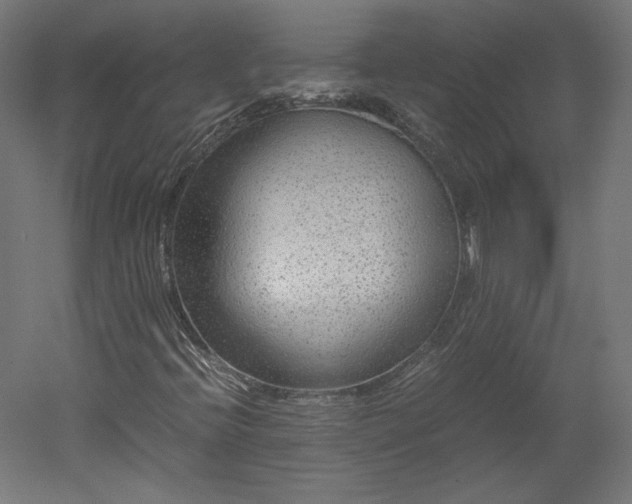 X0000051901396200507011455
