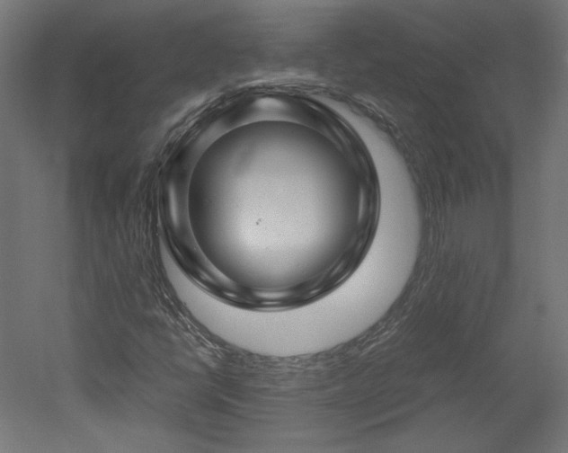 X0000051901398200507011455