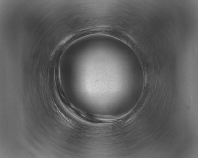 X0000051901402200507011455