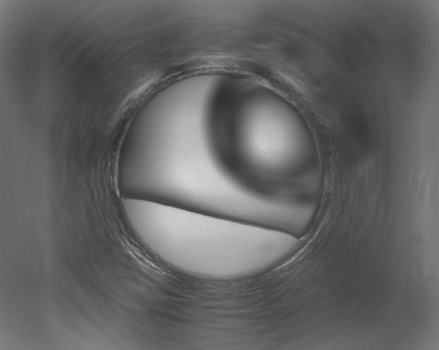 X0000051901403200507011455