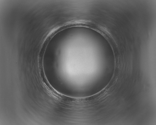 X0000051901404200507011455