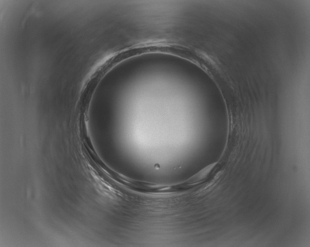 X0000051901406200507011455