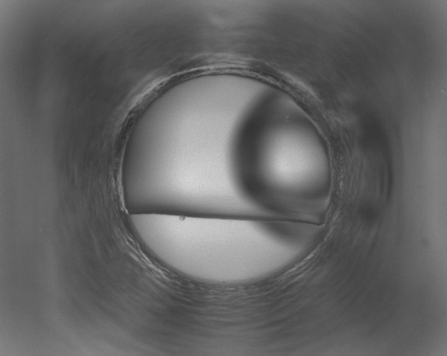 X0000051901407200507011455