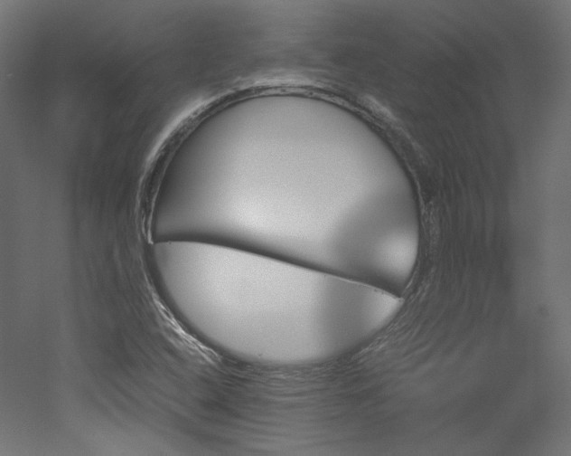 X0000051901408200507011455